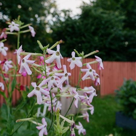 Apartmán Buntes Nams Limbazi Exteriér fotografie